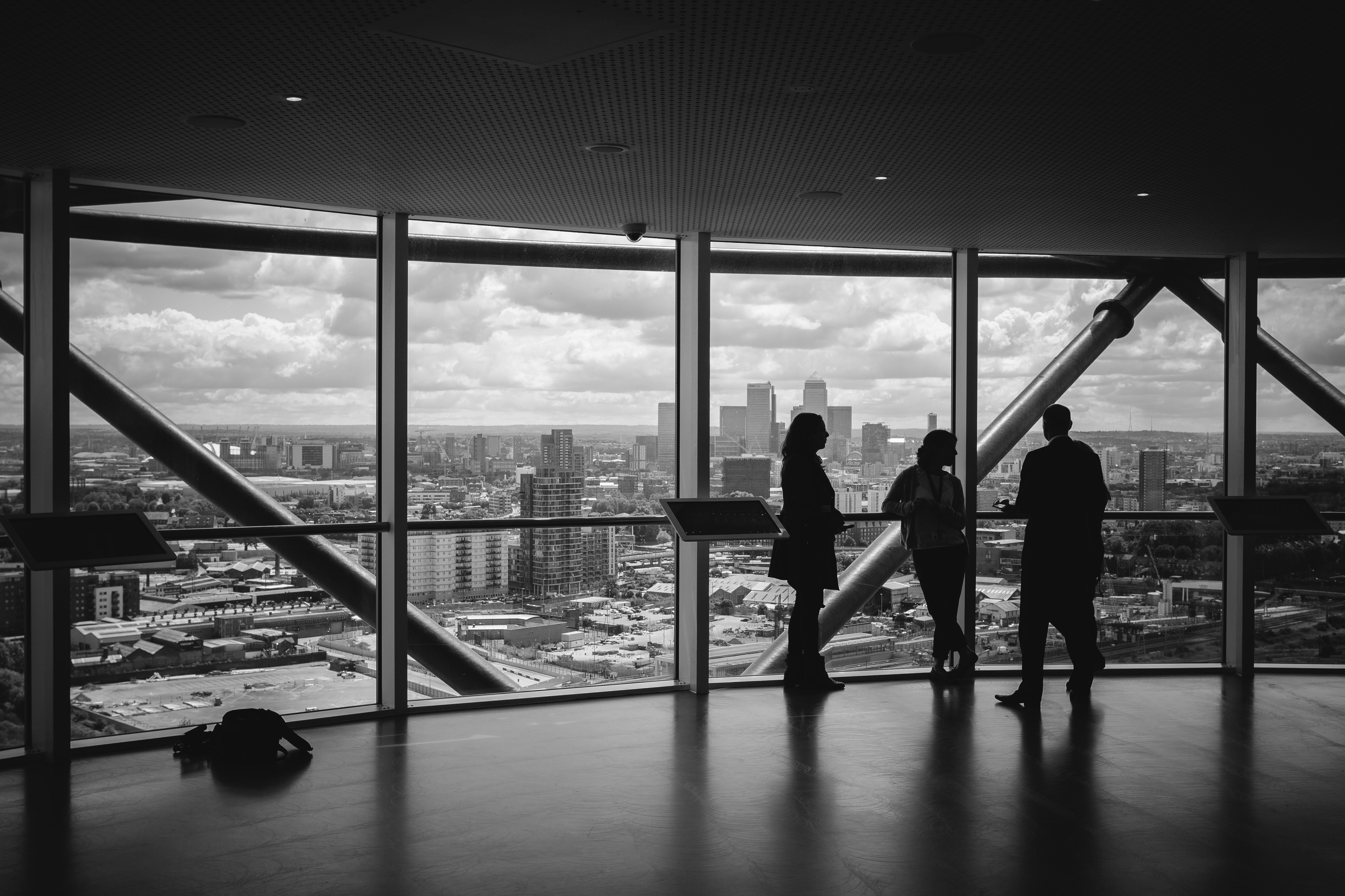 Professional team overlooking city skyline